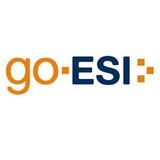 Go-Esi LLC - Other in Bellaire