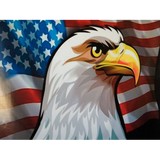 American Eagle Paintball Inc. - Amusement Parks in El Paso