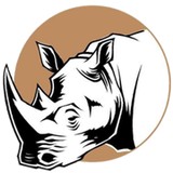 Rhino Marketing - Marketing in Houston