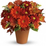 Bokay Village Florist - Florists in Houston