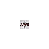 Associated Well Services Inc - Other in Stephenville