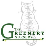 The Greenery - Florists in Spring