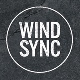 Windsync - Musicians in Houston