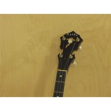 Allen Banjo CO - Musical Instruments & Services in Houston