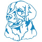 Interquest Detection Canine - Pet/Animal Training in Houston