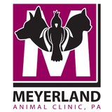 Guest April DVM - Veterinarians/Vets in Houston