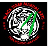 Black Tiger Martial Arts - Martial Arts in Houston