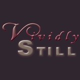 Vividly Still - Other in Kemah