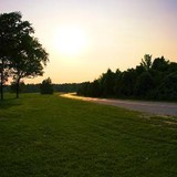 Prime Trees Inc - Tree Services in Houston