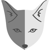Grey Fox Digital - Web Design & Development in Spring