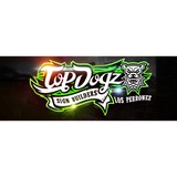 Top Dogz Sign Builders - Manufacturer in Houston