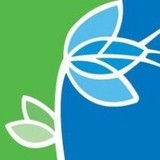 Flowers Jeffrey L DDS - Dentists in Carrollton