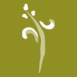 Pasha Snoring And Sinus Center - Allergists in Houston