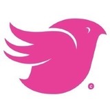 Finch Creative Inc - Graphic Design in Houston