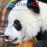 Itravelce LLC - Travel Agents in Houston