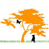 Shelby Shelter - Animal Shelters in Houston