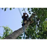 Atascocita Tree Service - Tree Services in Humble