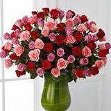 Blue Iris Florist - Florists in Houston