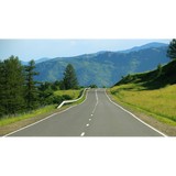 Colony Driving School Inc - Driving Lessons in Sugar Land