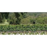 Texas Two Step Wine Tours - Other in Fredericksburg