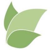 IndigoTea - Web Design & Development in Carrollton