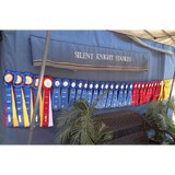 Silent Knight Stables - Other in Krum