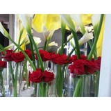 Faith Flowers - Florists in Houston