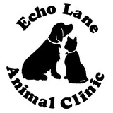 Echo Lane Animal Clinic - Veterinarians/Vets in Houston