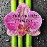 Brookhollow Florist - Florists in Houston