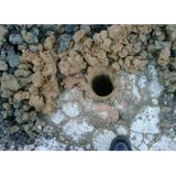 Arm Soil Testing - Air, Water or Soil Testing Kits in Houston