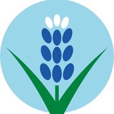 City Of Ennis - Other in Ennis