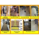 Busy Bee Carpet Steamers - Carpet Cleaning in Houston