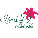Houston Flowery - Florists in Houston