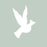 Ambleside School - Marketing in Fredericksburg