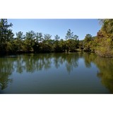 Ashford Lakes Apartments - Apartments in Houston
