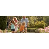 Global Wealth Advisors - Financial Consultants in Dallas