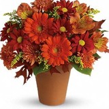 Athas Flower Shop - Florists in Houston