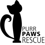 Purr Paws Rescue, Inc - Other in Cypress
