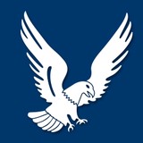 American Automotive Service - Insurance in League City