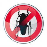 Bugs Chasers Pest Control - Pest Control in Tomball