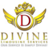 Devine Town Car & Limousine - Limos in Houston