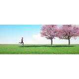 Dr Colin Burnley - Other in Flower Mound