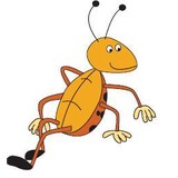 BUGFREE TERMITE & PEST CONTROL - Pest Control in Cypress