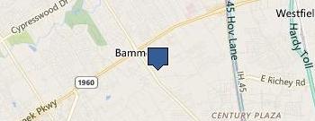 Desert View Auto Auctions location map