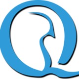Quail Advertising - Web Design & Development in Cypress
