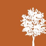 Bluffs At Vista Ridge - Other in Lewisville