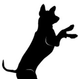 Kampschmidt Kit DVM - Veterinarians/Vets in Houston