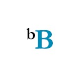 Blurbrick LLC - Web Design & Development in Katy
