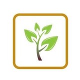 Scapes Incorporated - Landscaping in Southlake