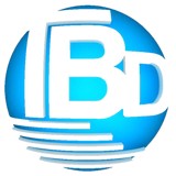Tbd America Inc - Business Consulting in Arlington